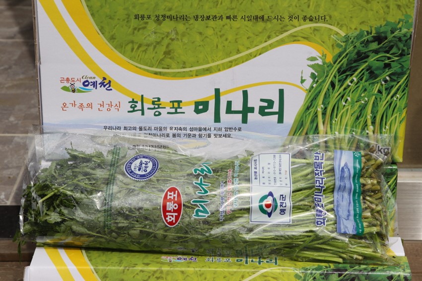 1.예천“회룡포 봄 미나리”맛보세요~